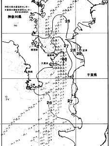 東京湾口海況図(2025/08/25)