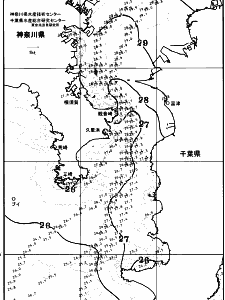 東京湾口海況図(2025/08/26)