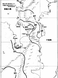東京湾口海況図(2025/08/28)