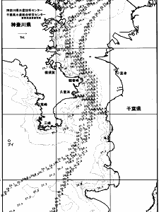 東京湾口海況図(2025/09/02)