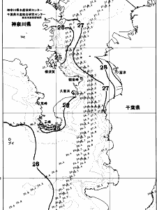 東京湾口海況図(2025/09/03)