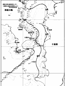 東京湾口海況図(2025/09/04)