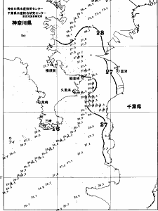 東京湾口海況図(2025/09/05)