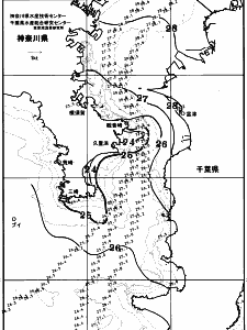 東京湾口海況図(2025/09/11)