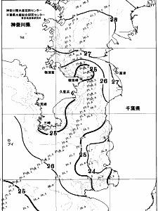 東京湾口海況図(2025/09/12)