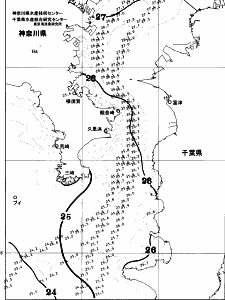 東京湾口海況図(2025/09/19)