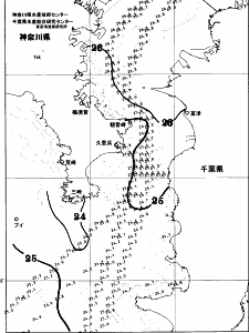 東京湾口海況図(2025/09/21)