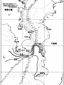 東京湾口海況図(2025/10/10)