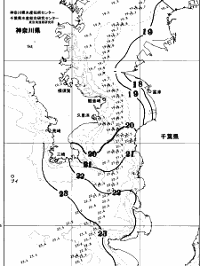 東京湾口海況図(2025/10/29)