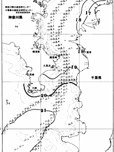 東京湾口海況図(2025/11/04)