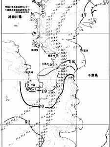 東京湾口海況図(2025/11/08)