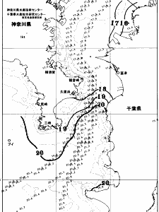 東京湾口海況図(2025/11/11)