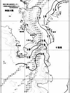 東京湾口海況図(2025/11/12)