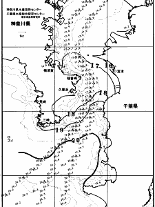 東京湾口海況図(2025/11/13)