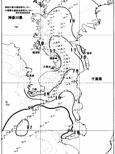東京湾口海況図(2025/11/20)