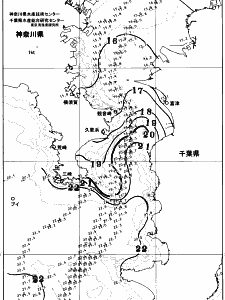 東京湾口海況図(2025/11/25)