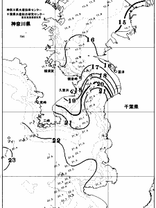 東京湾口海況図(2025/11/27)