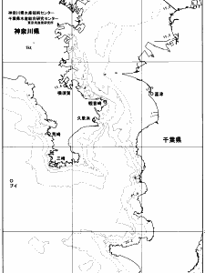 東京湾口海況図(2025/11/28)