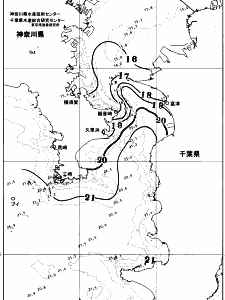 東京湾口海況図(2025/12/03)