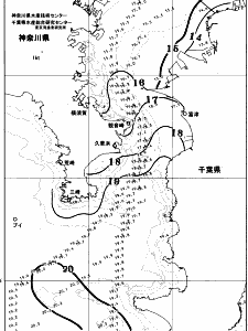 東京湾口海況図(2025/12/06)