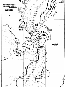 東京湾口海況図(2025/12/10)