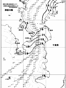 東京湾口海況図(2025/12/12)