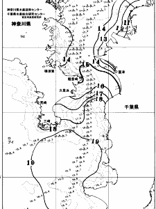 東京湾口海況図(2025/12/15)