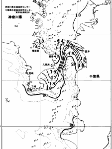 東京湾口海況図(2025/12/18)