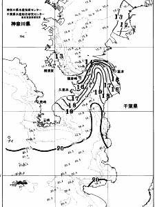 東京湾口海況図(2025/12/19)