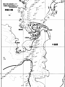 東京湾口海況図(2025/12/20)