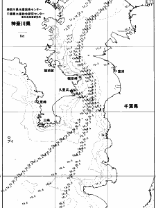 東京湾口海況図(2025/12/26)
