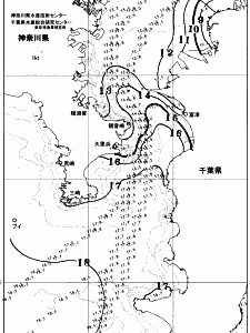 東京湾口海況図(2025/12/28)