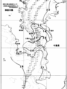 東京湾口海況図(2025/12/30)