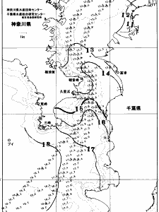 東京湾口海況図(2025/12/31)