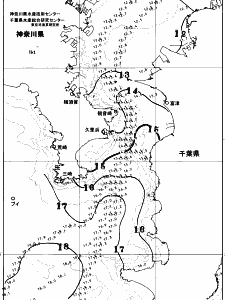 東京湾口海況図(2026/01/02)