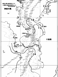 東京湾口海況図(2026/01/04)