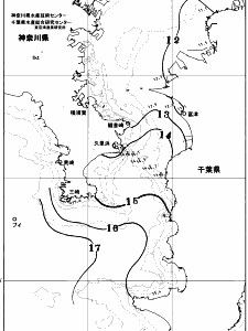 東京湾口海況図(2026/01/05)