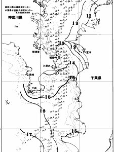 東京湾口海況図(2026/01/07)