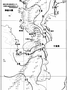 東京湾口海況図(2026/01/08)