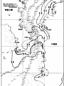 東京湾口海況図(2026/01/09)
