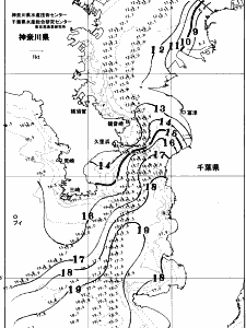 東京湾口海況図(2026/01/10)