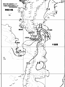 東京湾口海況図(2026/01/11)