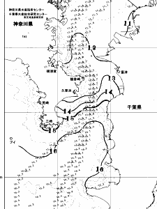 東京湾口海況図(2026/01/19)