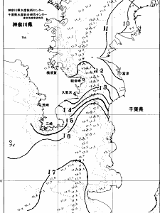 東京湾口海況図(2026/01/21)