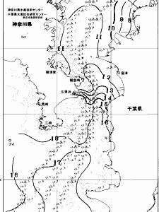 東京湾口海況図(2026/01/24)