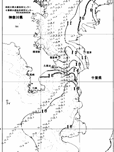 東京湾口海況図(2026/01/25)