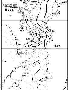 東京湾口海況図(2026/01/26)
