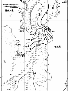 東京湾口海況図(2026/01/27)