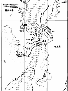東京湾口海況図(2026/01/28)