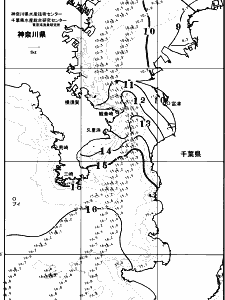 東京湾口海況図(2026/01/29)